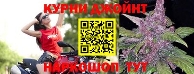 прущие крисы Аргун